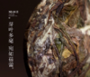 年迹 白牡丹茶（紧压白茶）2018年 商品缩略图5