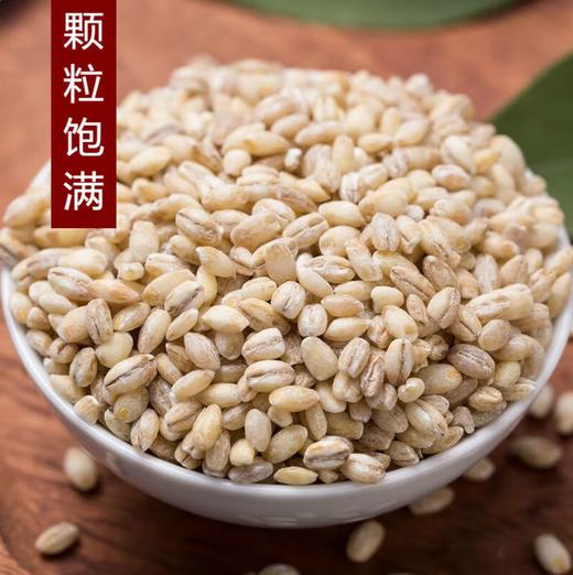 【YC】 麦仁 商品图0