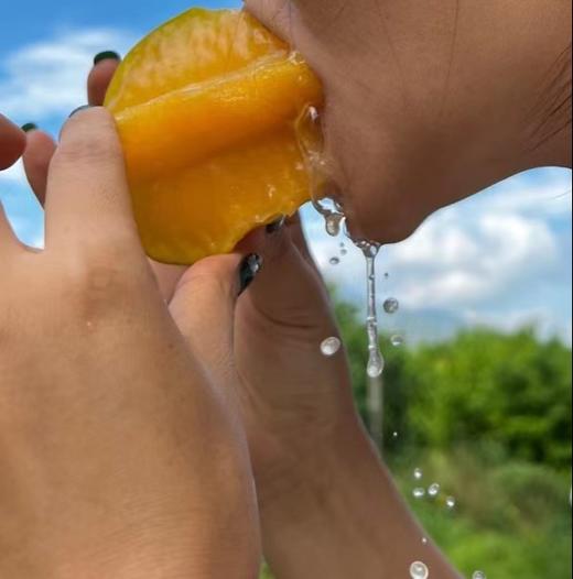 杨桃 | 有机 商品图2