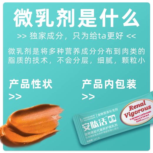 澳滋麦安肽活猫狗肾脏养护微乳剂排磷降氮嗜睡食欲差宠物营养补充剂 商品图2