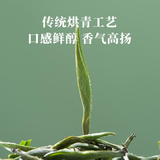 【2026年春茶】八马茶业丨明前特级雀舌绿茶伴手礼茶叶正品官方旗舰店 商品图6