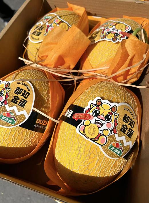 【会员31.5/颗】都知金蛋恐龙蛋黄皮哈密瓜 商品图1