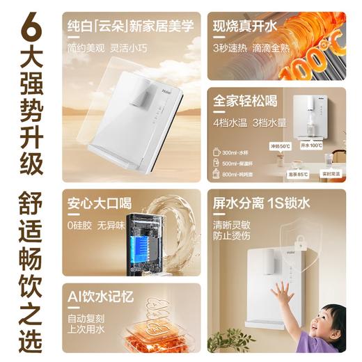 海尔（Haier）管线机云朵温热款壁挂式净水器伴侣100%真沸腾0硅胶管路0异味饮水机直饮机HGRZ2312 商品图2