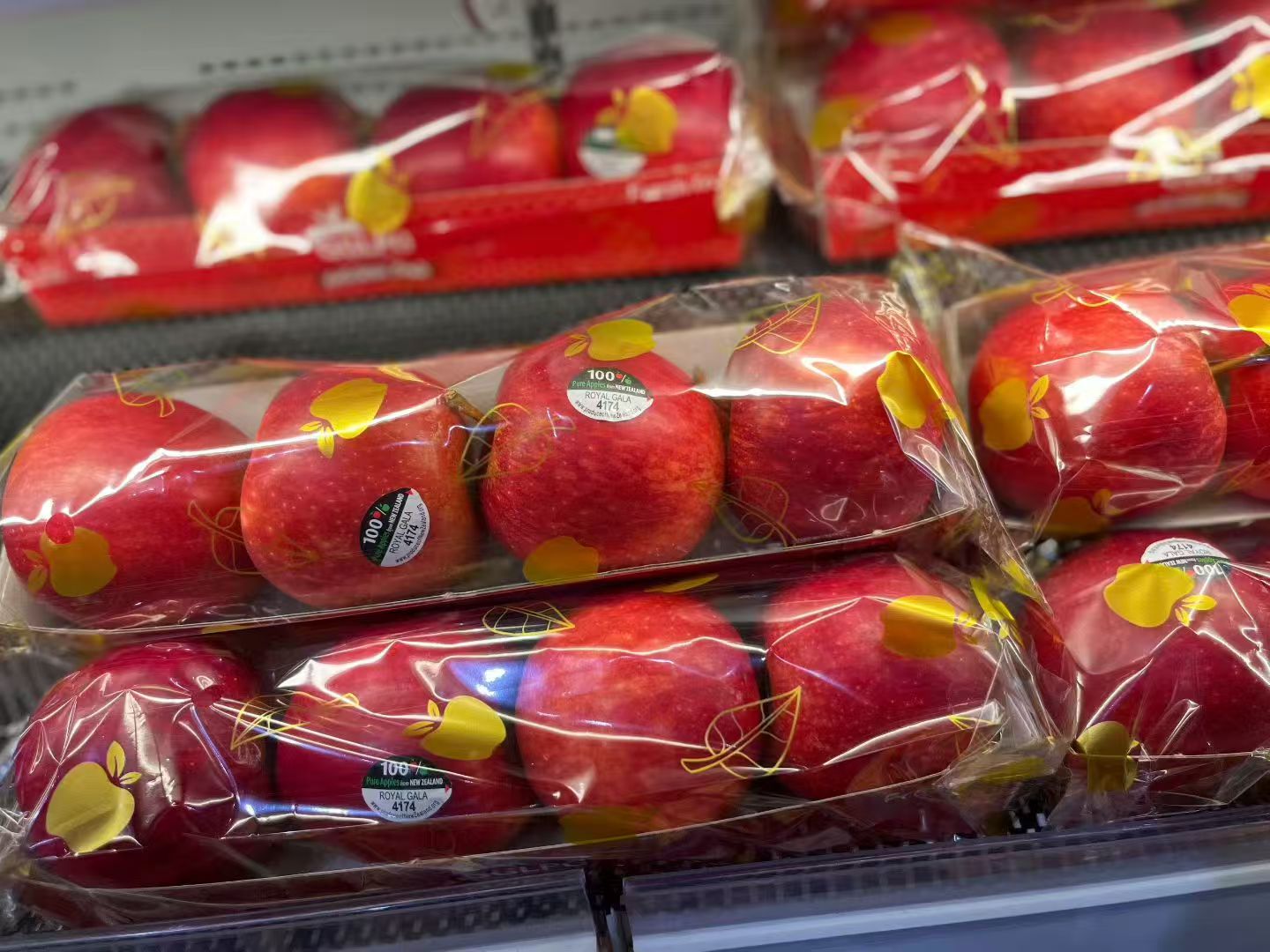 【会员21.5/袋】新西兰进口加力果 姬娜苹果  4颗/袋 大果 600g左右