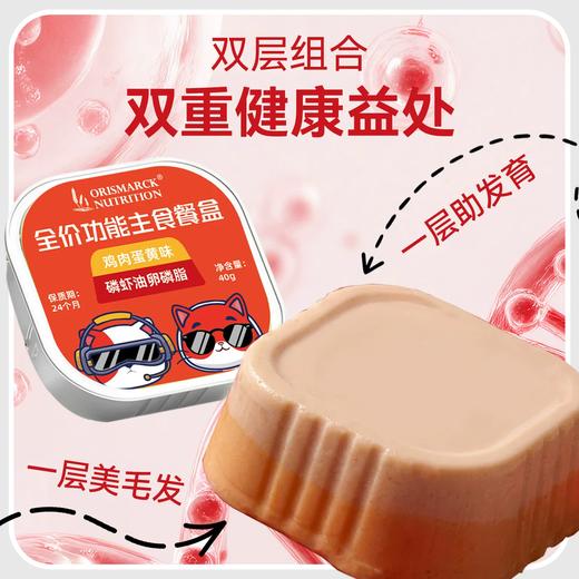 澳滋麦全价功能主食餐盒布偶猫美毛猫粮猫咪主食餐盒幼猫专用猫粮 商品图1