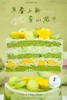 青山龙井 商品缩略图6