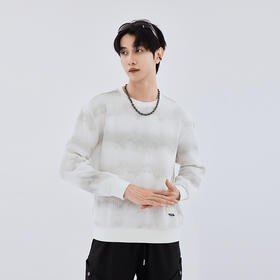 【新品上新】HX 春秋季圆领卫衣S106533041101