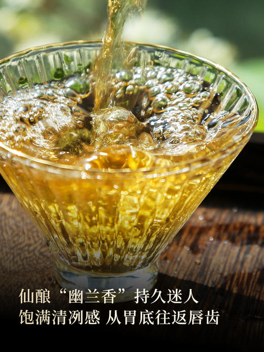 3月12日中午12点【新品预售】【猫耳朵单株】2026年头春头采茶中精灵“猫耳朵”云南仅有0.01％的茶种 100克/饼 5饼/提，每提加送60克同款散茶 商品图6