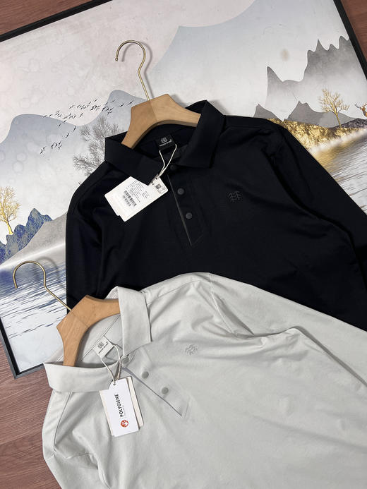 点此购买 可隆春秋季男士商务休闲长袖POLO衫 hh 341869 商品图9