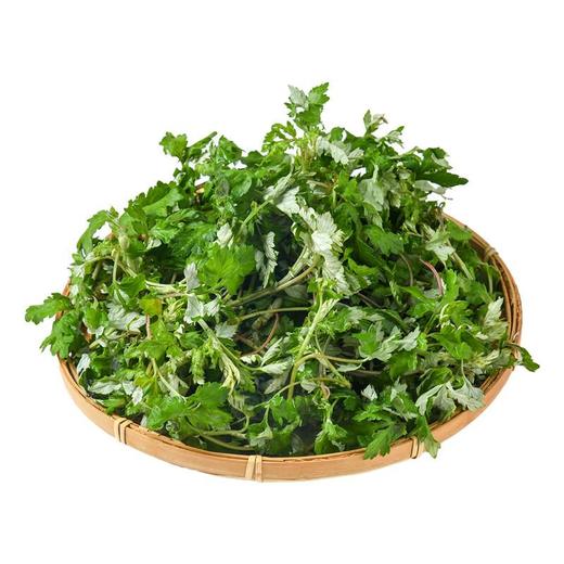 艾蒿 150g 商品图3