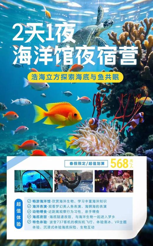 春假4.1-2【双流.海洋馆夜宿营】畅游海洋馆，学习丰富海洋知识，近距离观察行为习性，亲手喂食，在海底支起帐篷，感受波音737客机的模拟机飞行体验，滑冰体验 商品图0