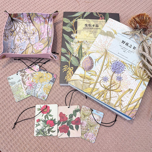 艺术与自然系列（共2册）(生生不息+野花之书) 商品图3