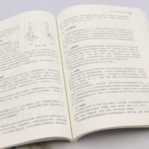 E观赏植物栽培学（附数字资源） &3391 商品图3