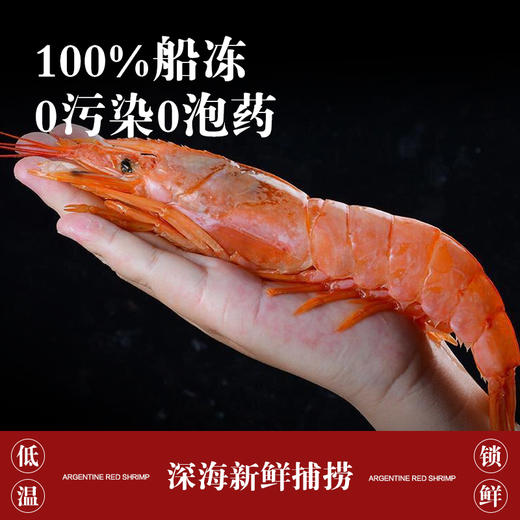 黑盒阿根廷L1野生船冻红虾*800G/袋 商品图1