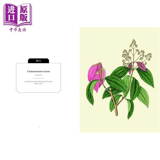 【中商原版】香草和香料 英国皇家植物园口袋书系 英文原版 Kew Pocketbooks Herbs and Spices RBG Kew RBG Kew 商品图1