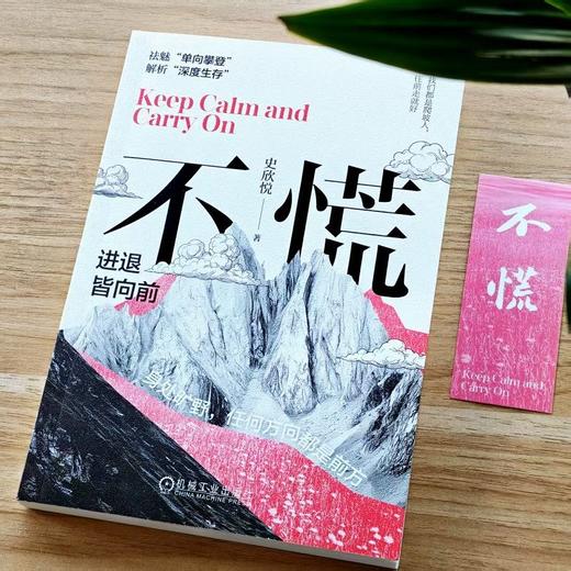不慌 进退皆向前 史欣悦 缓解焦虑 迷茫 个人成长 情绪 成功励志自我调节自我完善书籍 商品图3