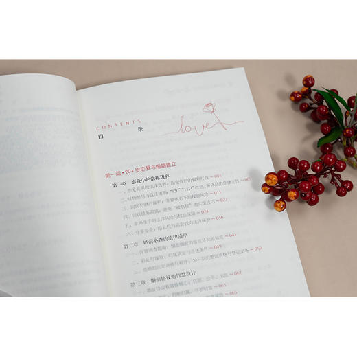 女性婚恋法律地图：20·30·40 谢娟（小白姐）著 法律出版社 商品图6