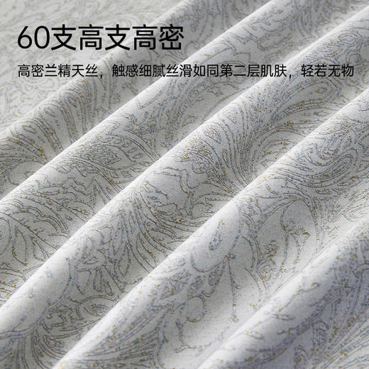 60支兰精天丝印花拆件(梦幻芭蕾) 商品图2