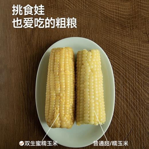 [屁侠推荐]下厨房 双生蜜糯玉米 北京农科院玉米研究中心新品种  220g/根 周四 商品图2