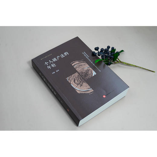 个人破产法的年轮  刘静编译  法律出版社 商品图2