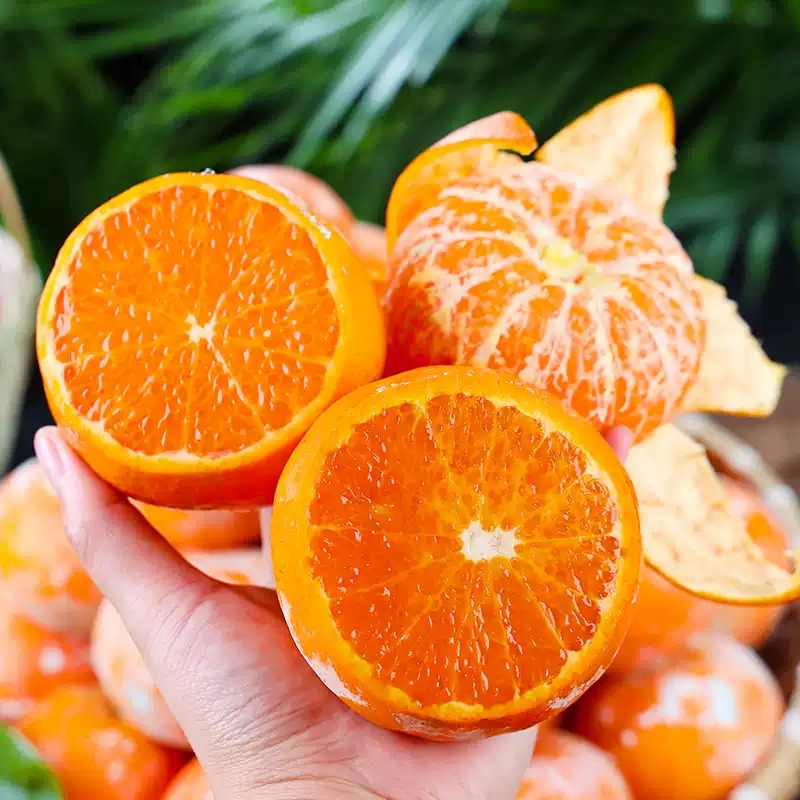 广西茂谷柑（脏脏柑）新鲜沃柑橘新鲜到爆！皮薄肉嫩，汁多味甜，吃一口就爱上！