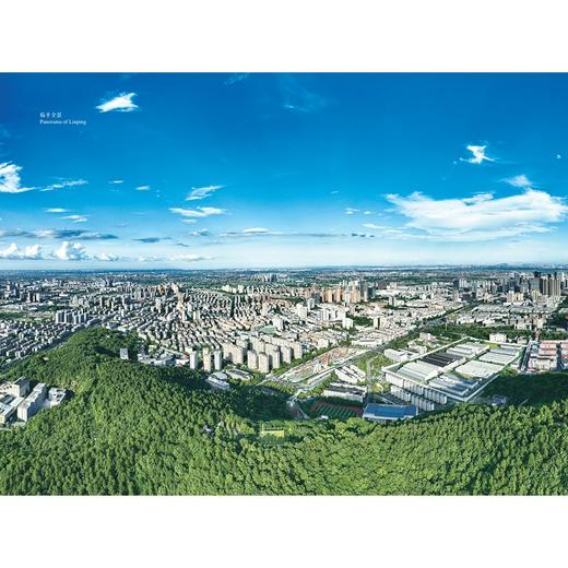 古韵临平，时尚江南/王晓林 绘/浙江大学出版社 商品图1