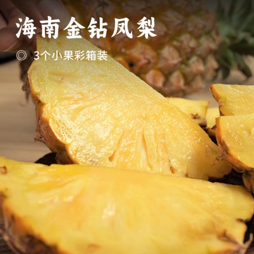 海南金钻凤梨 | 树上自然成熟 酸甜脆爽 汁水充沛 馥郁香气 削皮即可食用  轻松享受美味 商品图0