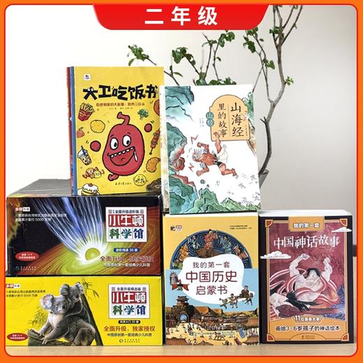 步印选书 分级能力书单 学龄前至六年级 商品图3