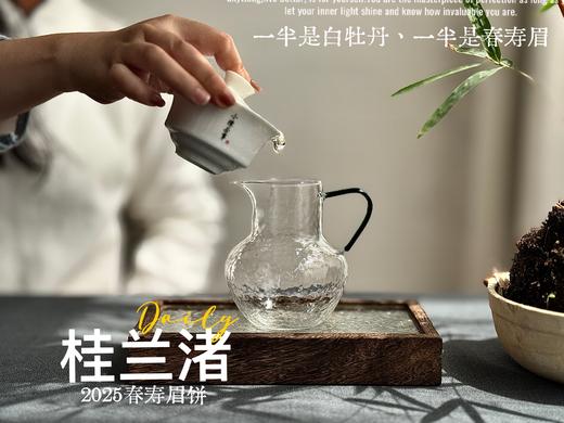 [好茶来了]《桂兰渚》2025春寿眉饼，一半是白牡丹一半是春寿眉的，茶饼，花香更艳，香气更足 商品图7