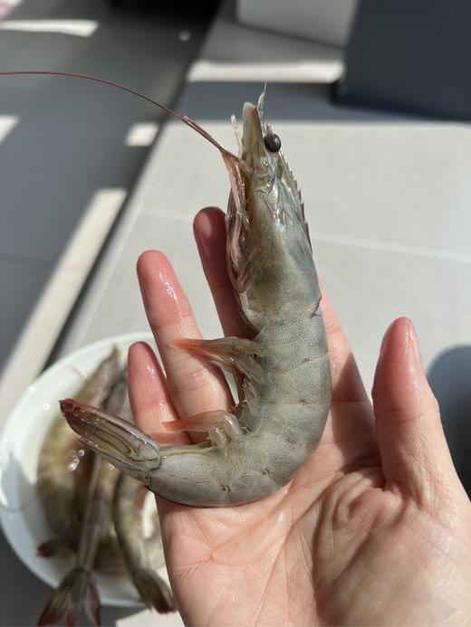 【叔贵专属】桑塔厄瓜多尔虾 1.65kg/盒 20-30规格   盐冻处理，原盒进口，拒绝二次分装，拒绝泡药，老人小孩都能吃！ 商品图0