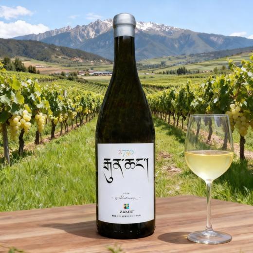 云南香格里拉扎西酒庄霞多丽珍藏干白葡萄酒 商品图3