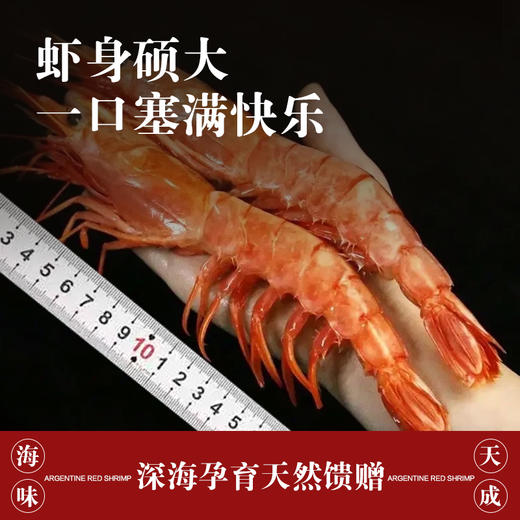 黑盒阿根廷L1野生船冻红虾*800G/袋 商品图3