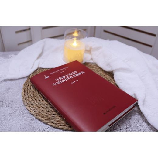 马克思主义法学中国化时代化专题研究/公丕祥 商品图4