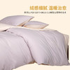 【代发】50支磨毛 天予棉床单款/床笠款 蓝铂四件套纯棉（尺寸为被罩尺寸） 商品缩略图5