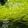 颜伊施婴童倍润保湿霜50g 商品缩略图4