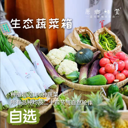 自选生态蔬菜箱（农场直发-顺丰快递）| 多种规格，来自成都郫都区【原乡农场，自产自销】 商品图0
