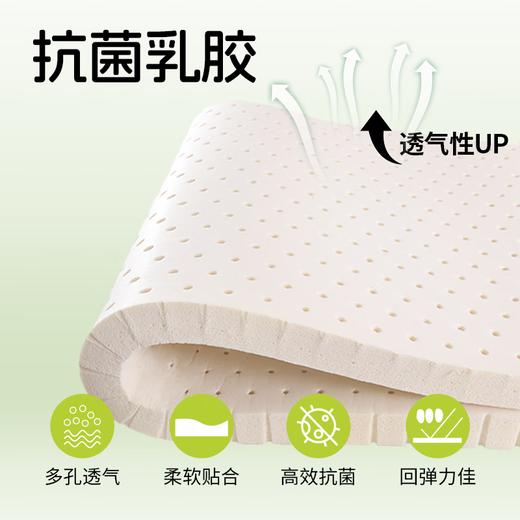 慕思（de RUCCI）薄床垫 乳胶床垫单人宿舍薄垫防螨榻榻米床褥垫 租房专用乳胶垫 5cm厚/三防海绵乳胶款-MCW1-079 1.2*1.9米学生床 商品图6