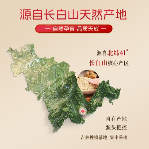 千年珍 野山参粉5g（0.5g*10瓶）/盒*2盒 长白山15年野山参 商品图1