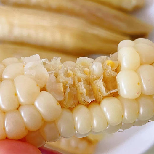 【产地直发包邮】听甜—西双版纳白糯拇指玉米 商品图1