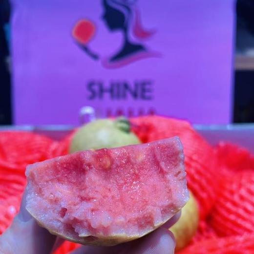 玛瑙芭乐（1箱约5斤，12～15个） 商品图0