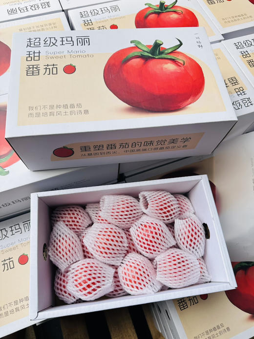 超级玛丽甜番茄 商品图6