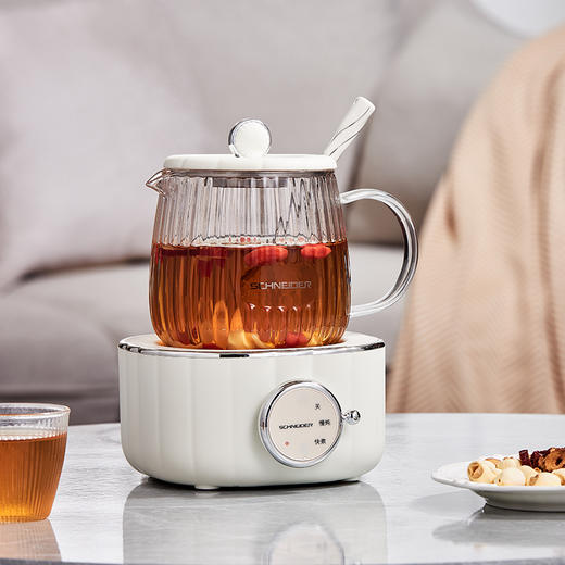 电炖杯 SWK-XDBL01 商品图3