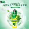好来（DARLIE）(原黑人)双重薄荷牙膏持久清新口气防蛀固齿洁净口腔175g新旧包装 商品缩略图5