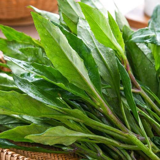 大青叶200g 商品图1