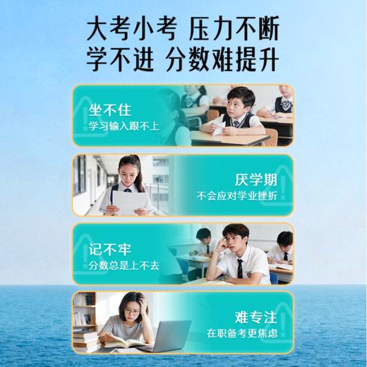 斯维诗 青少年脑力鱼油 60粒 商品图5