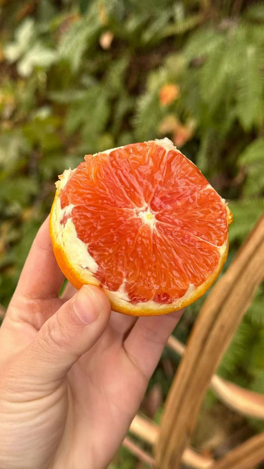 橙中贵族—中华红血橙，天然红色的果肉，晶莹剔透，粒粒分明，汁水犹如玛瑙，非常诱人，它的口感，更是将美妙发挥到了极致，不尝中华红橙，你永远都不知道其味～ 商品图1