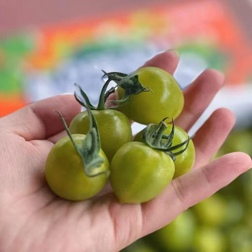🍀【•翡翠青番茄】🌈维C满满🔥～超精致，爆汁💦清甜，入口就是浓浓的番茄香，秒杀市面上其它品种小番茄💯又甜又低卡‼️ 商品图2