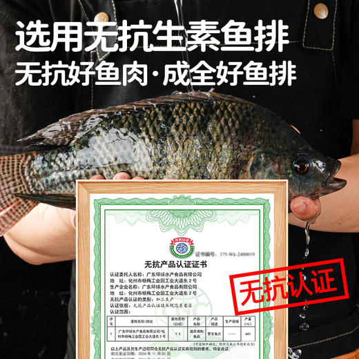 【发出后不支持拦截退货】母后恩点 橄榄油无抗鱼排 520g*2 商品图1