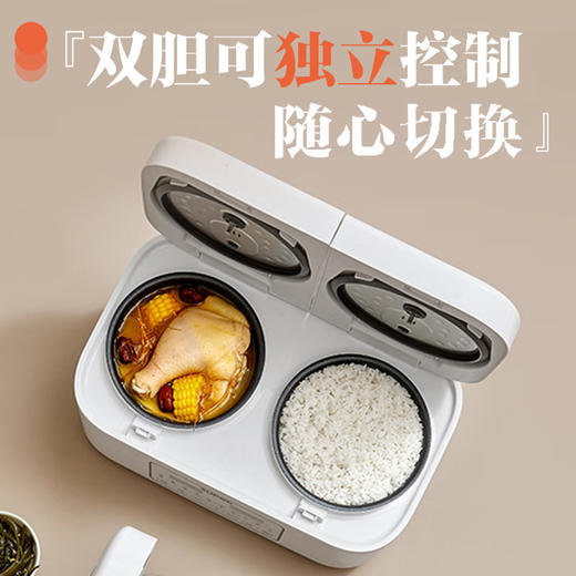 SUPOR/苏泊尔  双内胆2L+2L香弹饭煲仔饭多功能智能电饭锅SF20TC601 商品图1