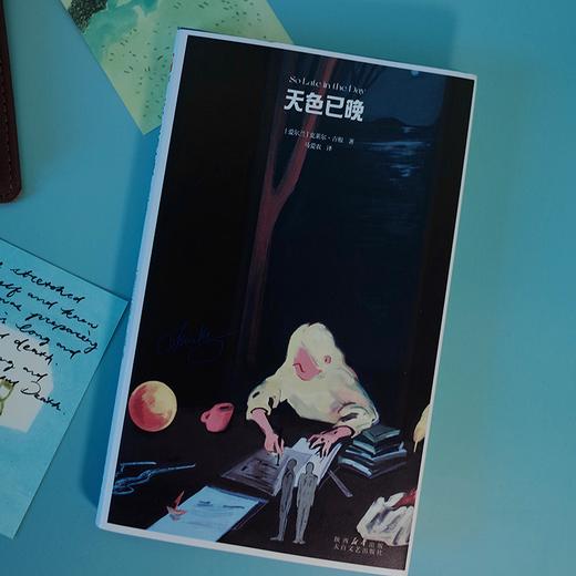 天色已晚  爱尔兰短篇小说女王克莱尔·吉根新作 马爱农全新译本 商品图1
